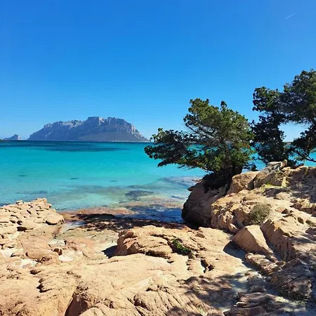 Lägenhet Bilocale Vacanze *