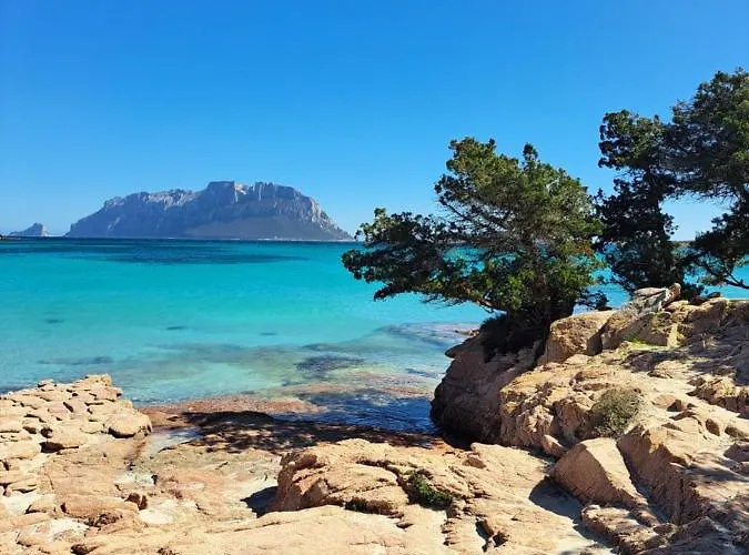 Apartment Bilocale Vacanze *